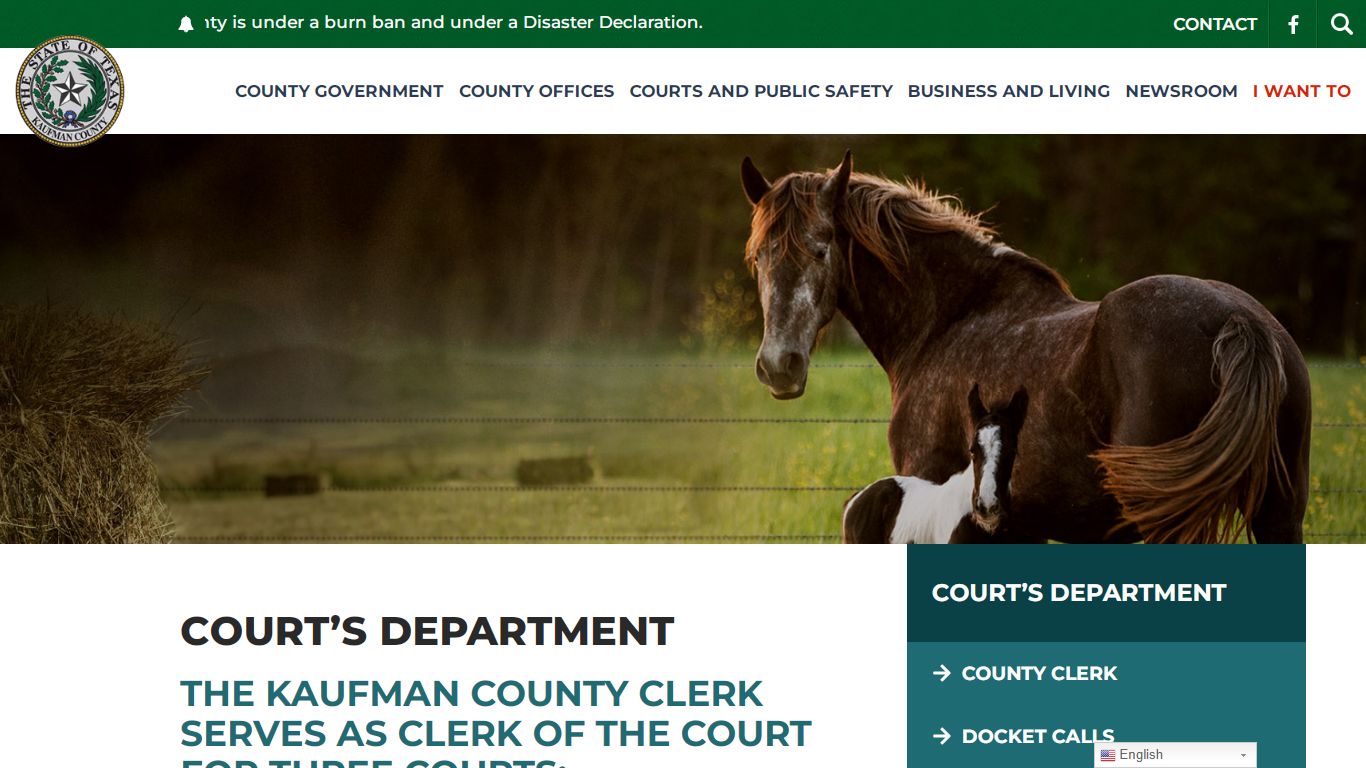 Court's Department | County Clerk - Kaufman County