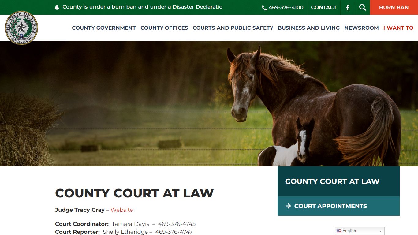 County Court at Law | Kaufman County
